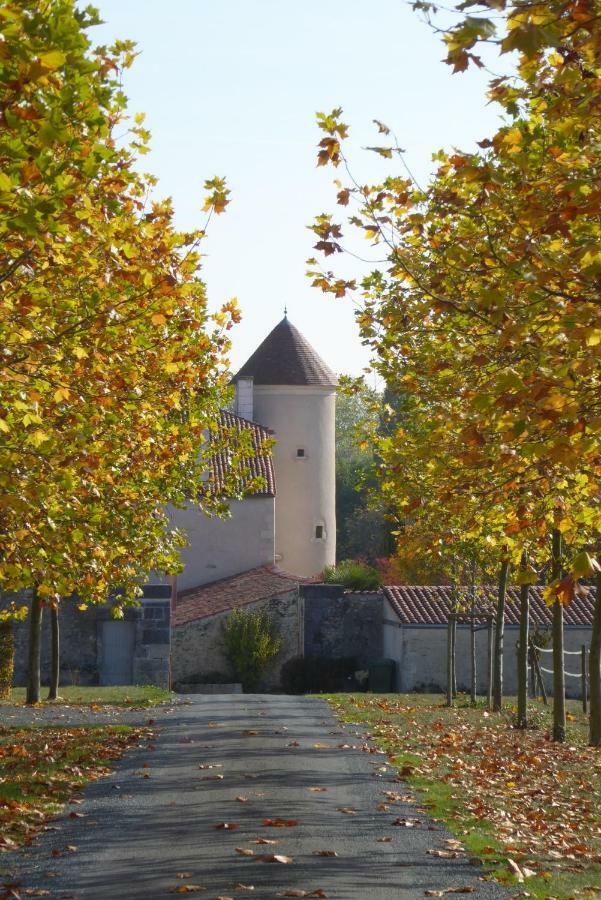 Chateau D'Annezay Exterior foto